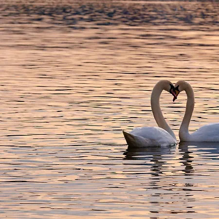 Ferienhaus Retreats Fallbarrow Park *